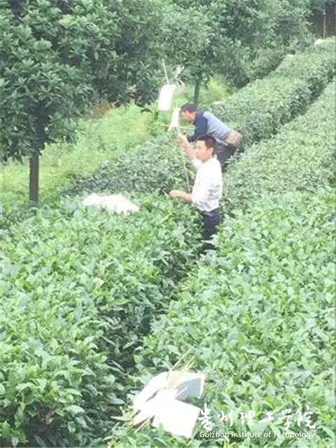 20160811150229562.jpg 5.webp_副本.jpg